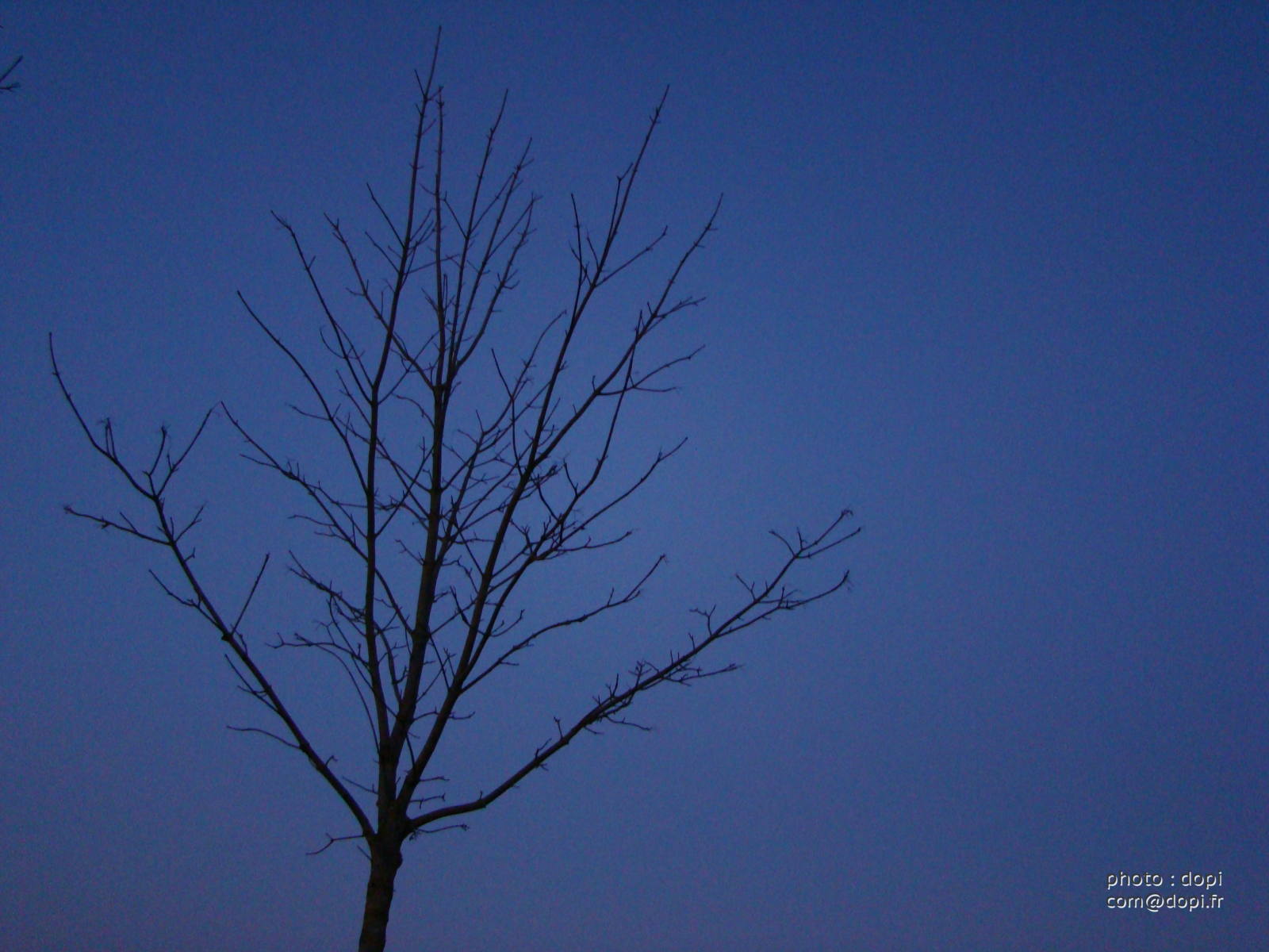 00004 mars2008 273,medium large.2x.1486913443